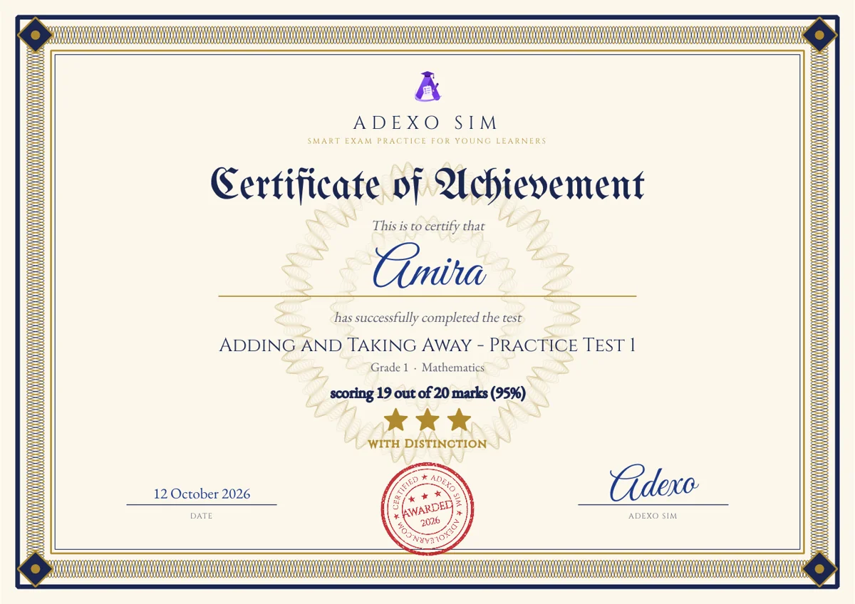 A certificate of achievement from Adexo Sim